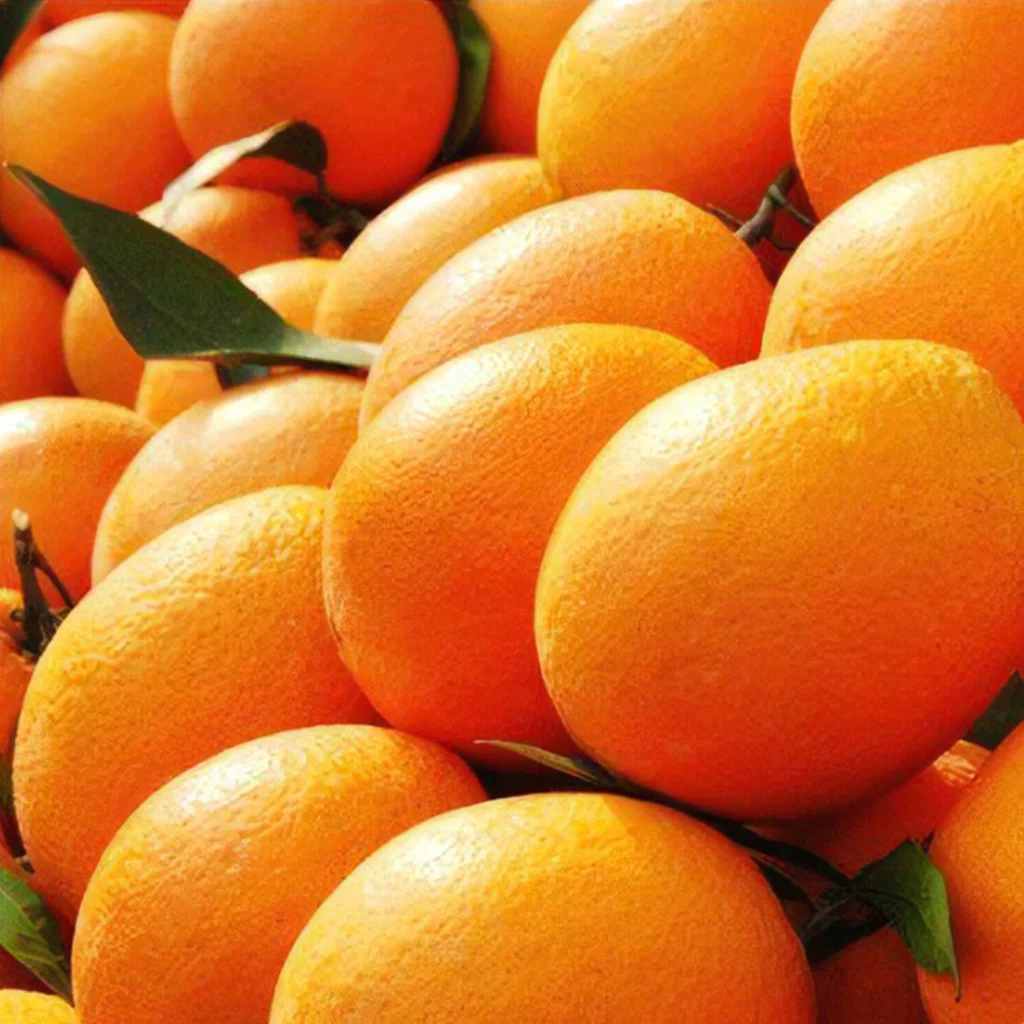 Gannan Organic Seedless Navel Oranges High Sugar Content with Bright Color Direct Factory Shipping Fresh Citrus Fruit
