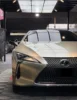 PET Liquid Metal Champagne Gold