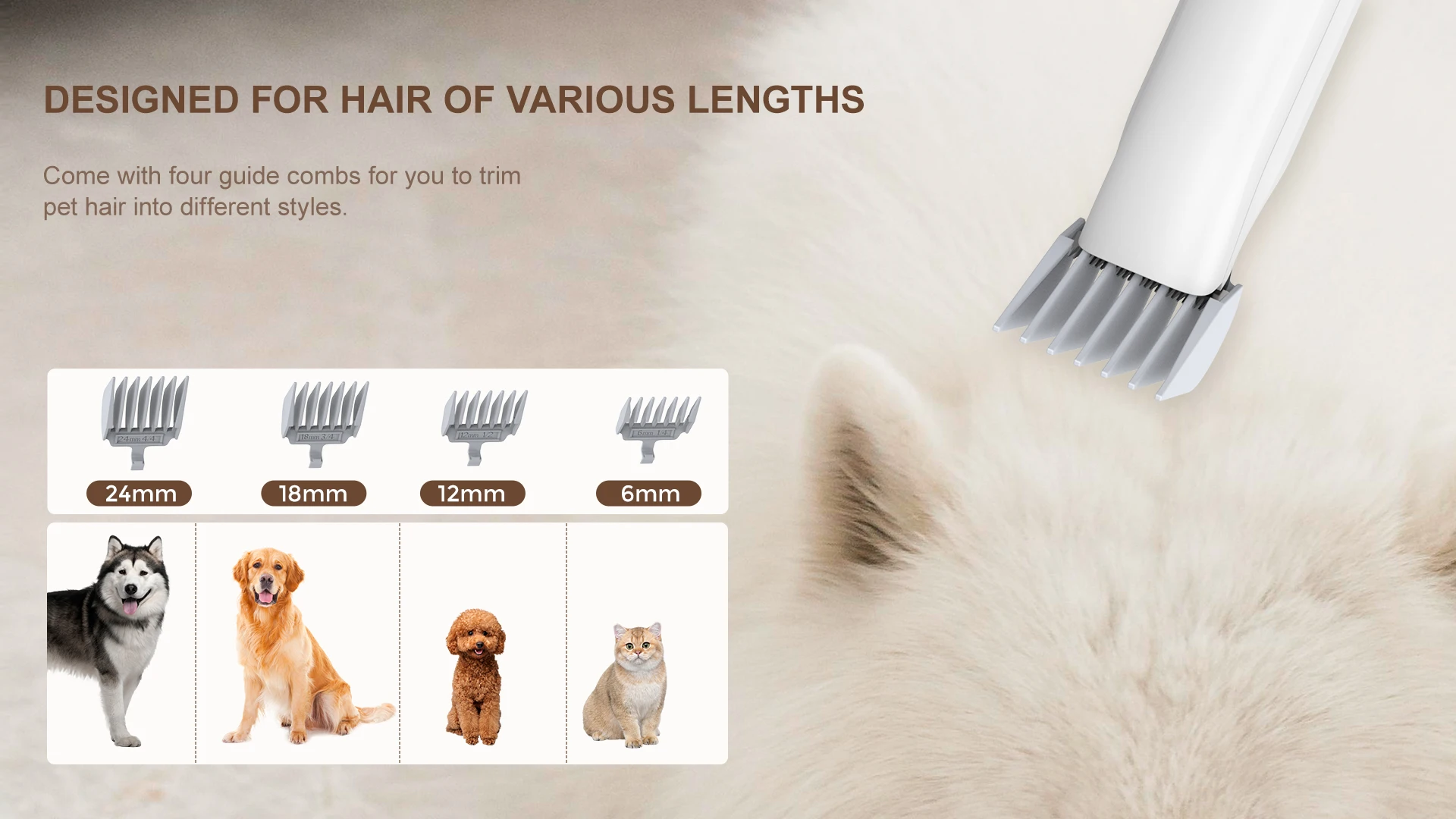 Best Vacuum Solutions for Shag Carpet and Care Tools