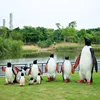Pinguino