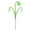 Green-C