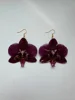 1 pair earring,color 30
