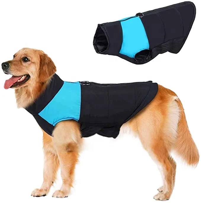 new look dog jumpers