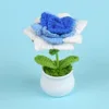 Pointed gradient blue rose potted plant