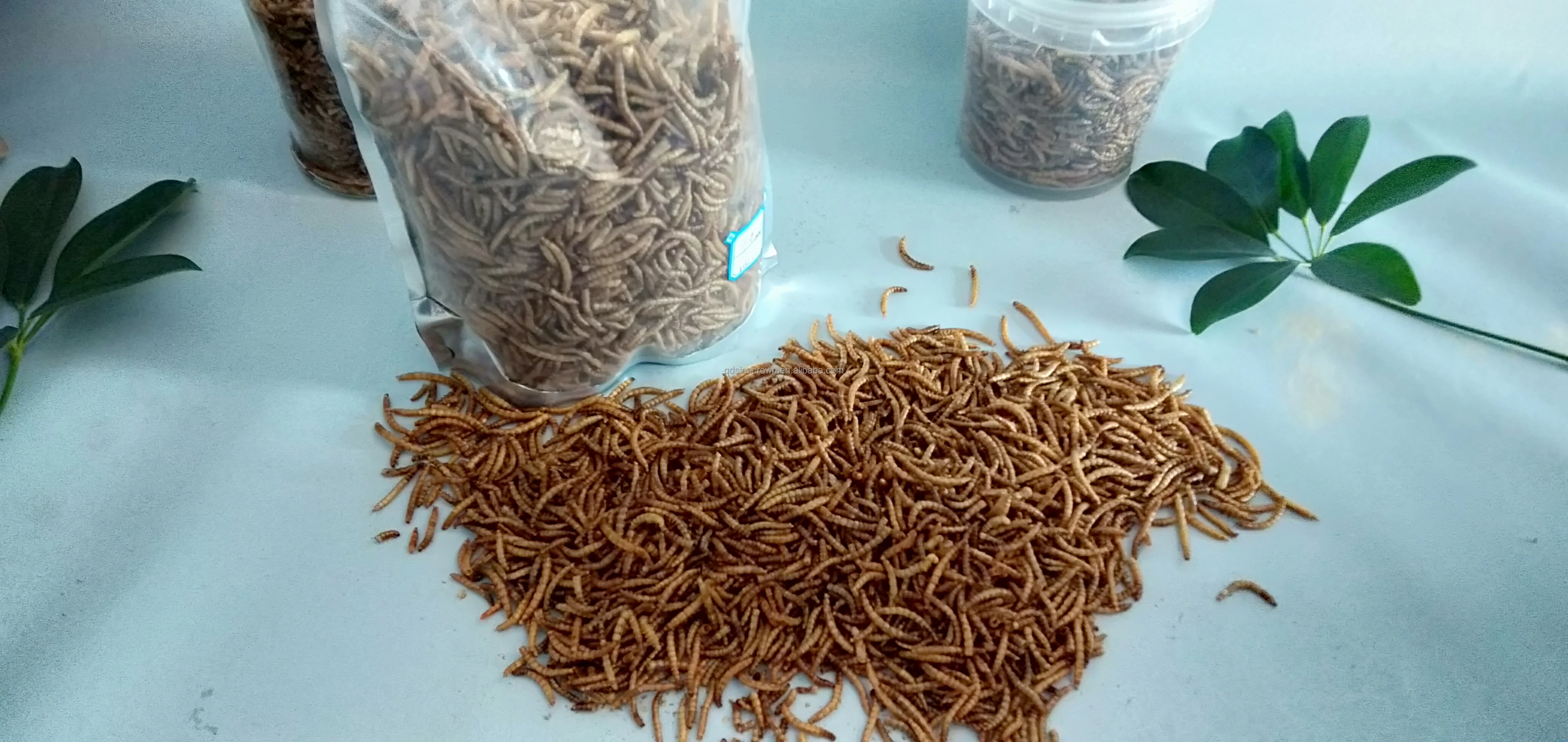 Fresh Dried Mealworm For Aquarium Fish Feed,Bird Food,,Dry Food Buy
