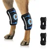 Black (2211 knee brace)