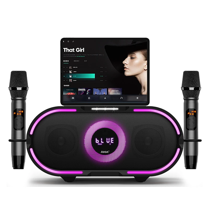 RHM RM-K666 Plus 2.1CH Karaoke System with 2 Wireless Microphones