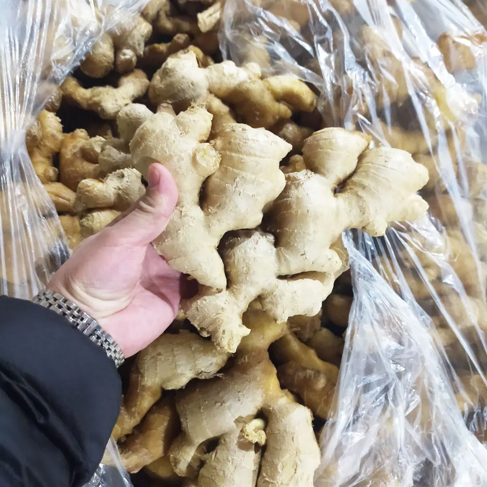 Fresh Dry Jengibre Buy Dried Ginger Buyers For Wholesale China Ginger