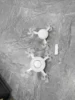 Drone - trois têtes