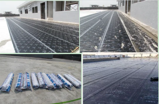 SBS modified asphalt 