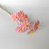 Sakura Rosa 10 pcs/bundle