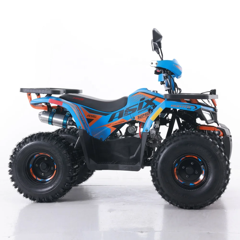 Tao Motor オールテレインビーチバギー 110cc ATVs 自動4輪 100-200kg 