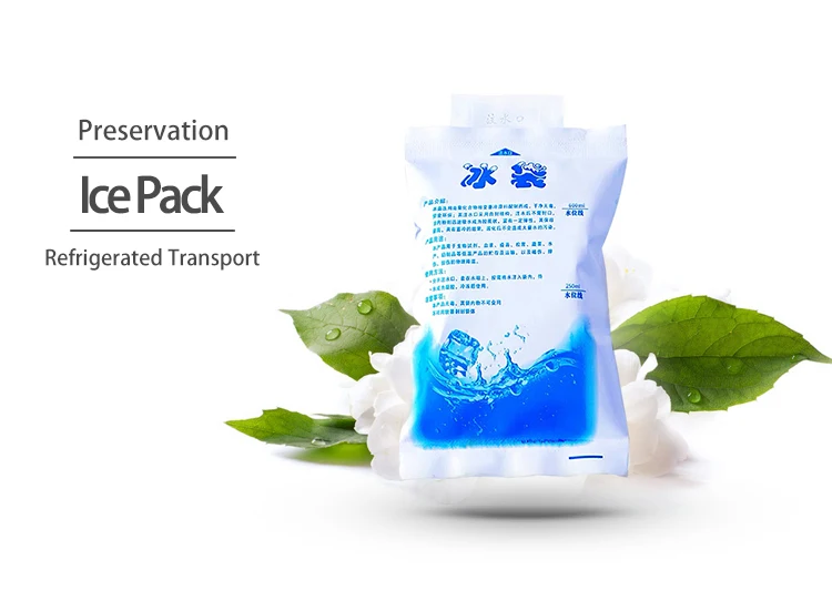 Cheap Food Delivery Insulated Ice Cooler Bag Cold Water Injected Ice