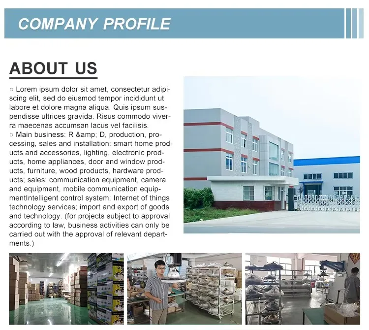 Company overview