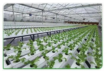 commercial glass greenhouse