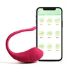 rose QR44036