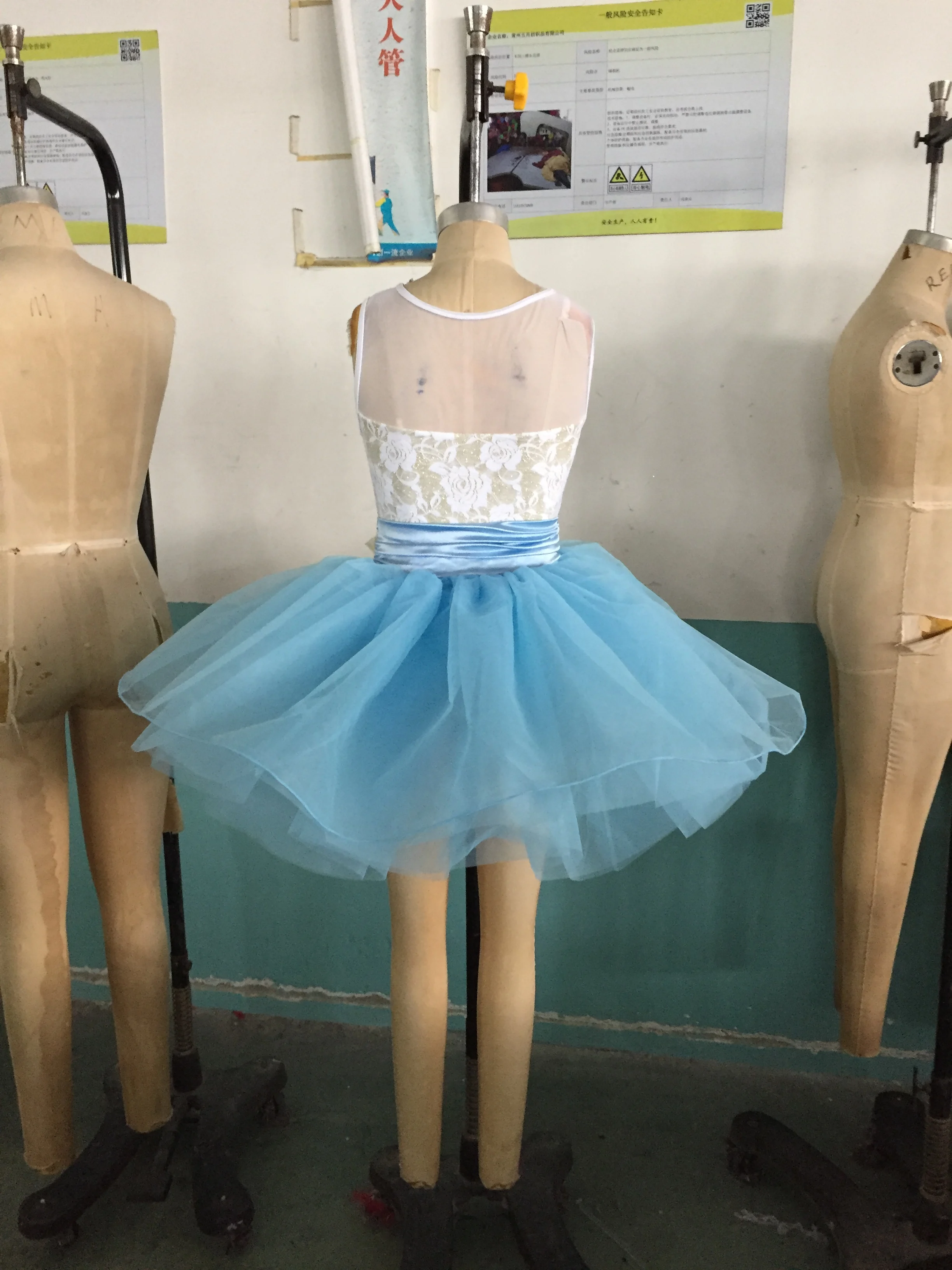 Flower Fairy Ballet Dance Costume - Blue Pink Tutu Dress, image size:2448x3264