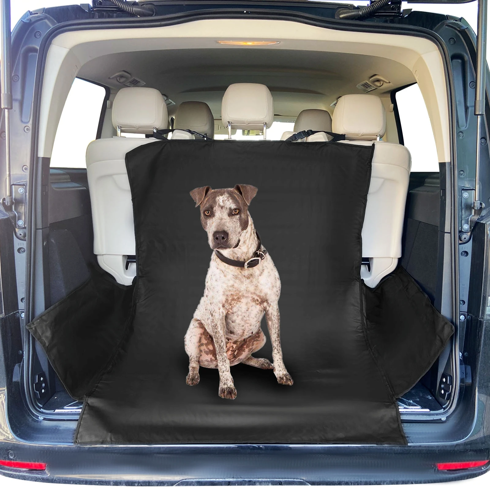 //sc04.alicdn.com/kf/H5a40dd38dc324f9ea41f048f5a3c01042/15000026614/H5a40dd38dc324f9ea41f048f5a3c01042.jpg_100x100