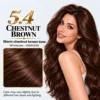 Chestnut Brown 5.4
