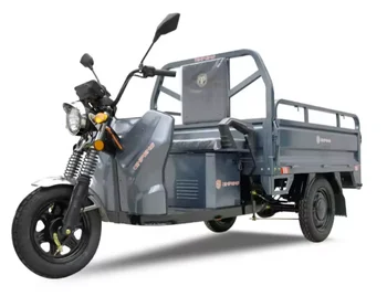 Jinpeng High speed 3 Wheels big 60V 1000w Cargo electric tricycle