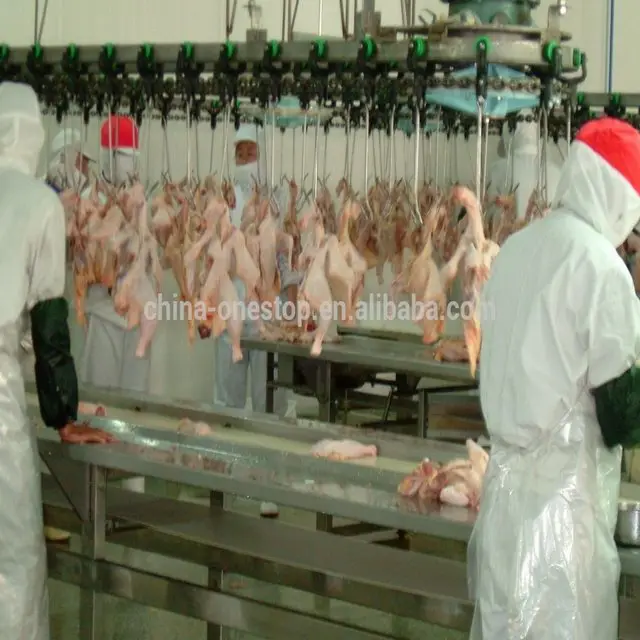 Poultry slaughtering equipment, suitable for poultry production line slaughterhouses