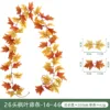 26 Maple Leaf - 14 - 46