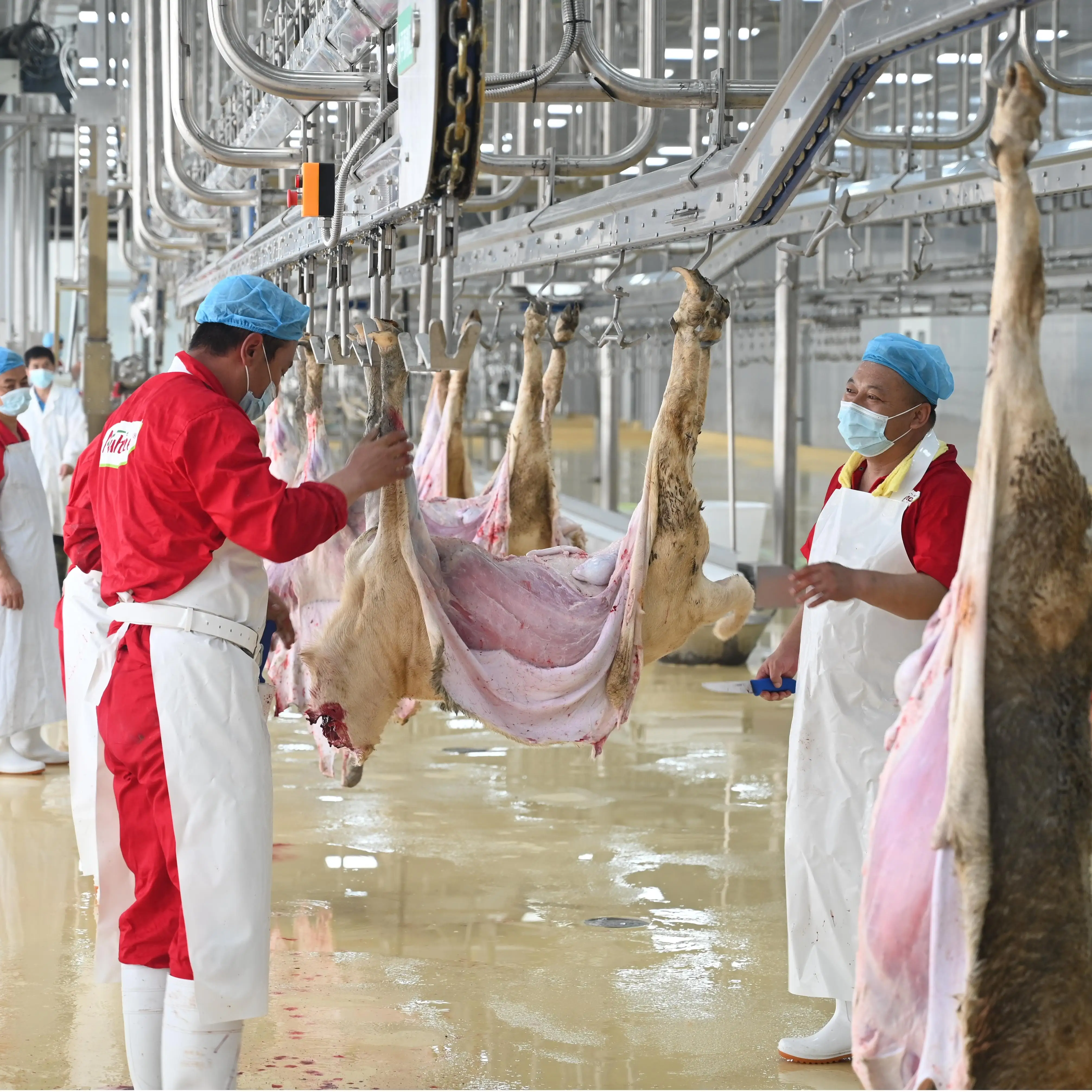 Efficient goat slaughtering production line with dehiding machine and working platform