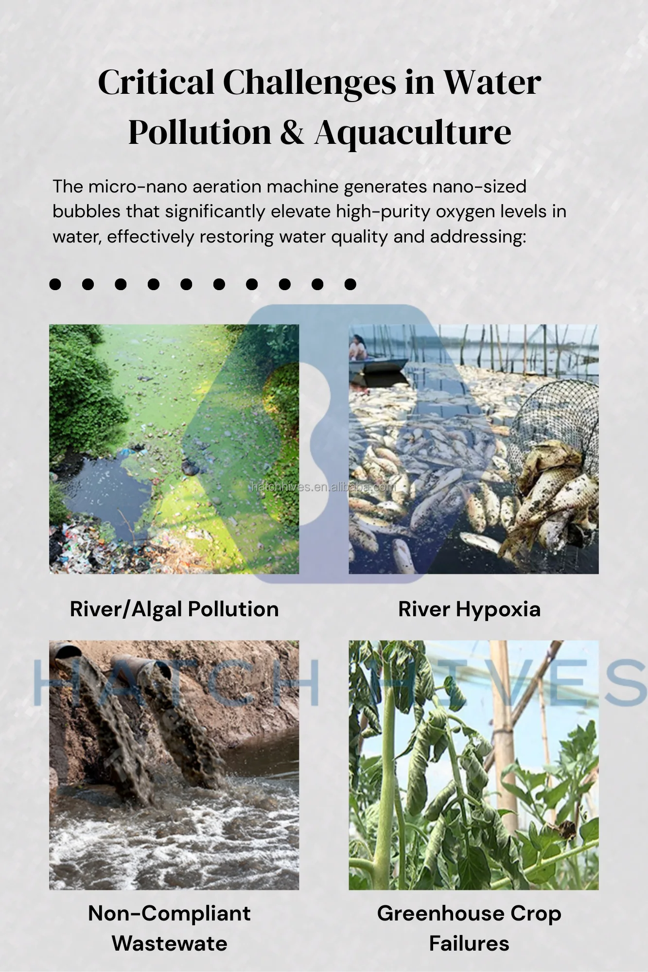 Curated visual reference: Visual Reference: High Dissolved Oxygen Nano Bubble Generator Pump Machine For Water