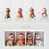 Set para perros 160g
