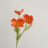 Arancione