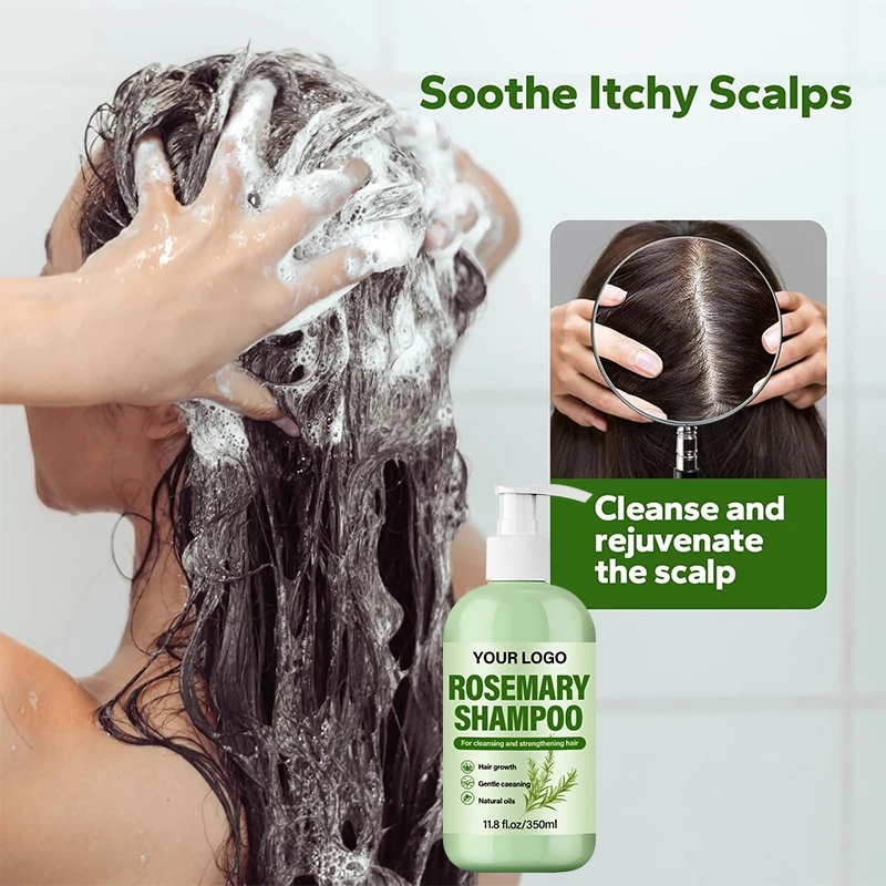 Hot Selling Hair Wash Daily Use Shampoo Hair Care Mint Rosemary Shampoo for Ceansing Stengthening Hair(pic4)