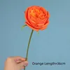 สีส้ม