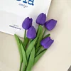 Pourpre