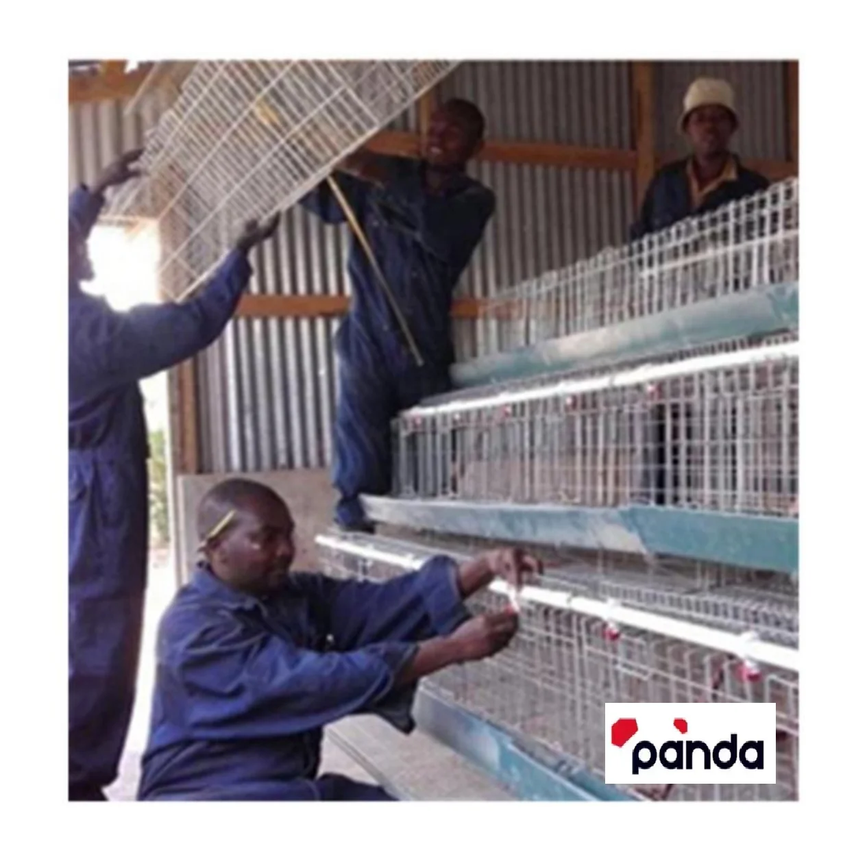 H Type Battery Chicken Cage Layer Poultry Cage Sale for Africa Farm