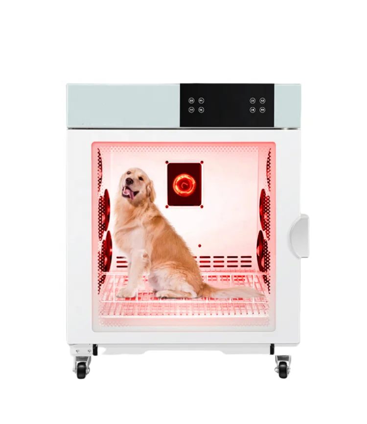 Caja secadora eléctrica automática para perros al por mayor