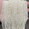 Coquille de papillon blanche naturelle