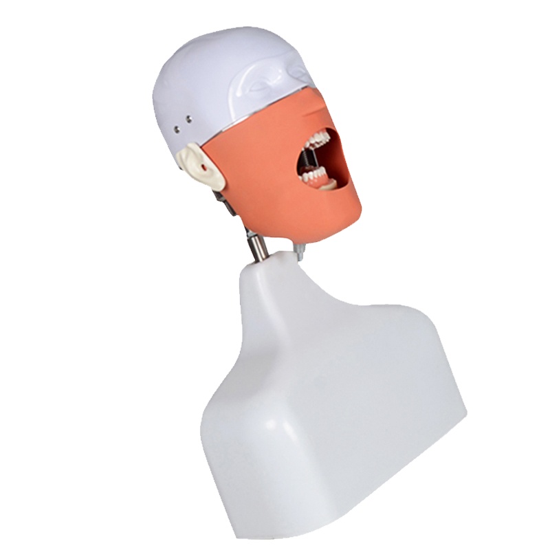 Новый продукт использованный студенческий симулятор стоматологический Фантом для продажи