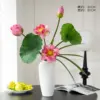 Lotus Language Green Crabapple - White