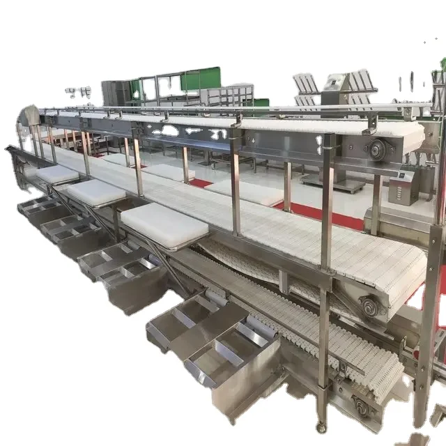 Complete slaughterhouse equipment 50 cow beef slaughtering equipment for slaughterhouse