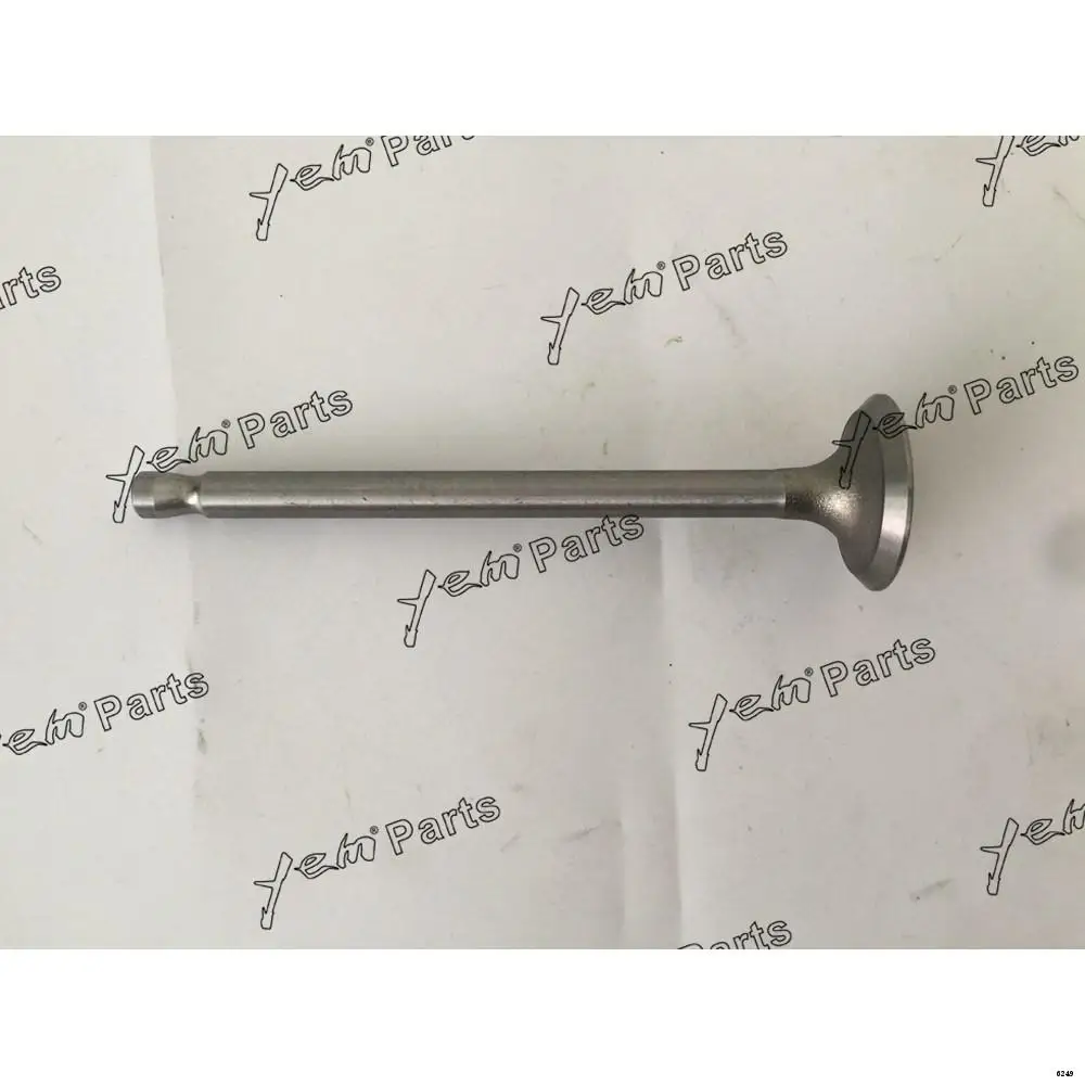 DM100 Exhaust Valve for Hino
