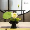 Danse du Lotus
