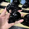 Corvo di ossidiana nero sui teschi