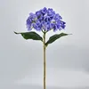 Hortensia bleu clair