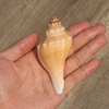 6-8cm