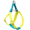 BLUE YELLOW Harness