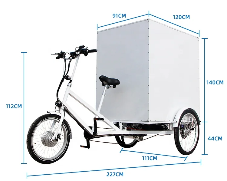 Heavy Duty Cargo Bike Electric with Pedal Assist Truck Trolley on Hot Sale