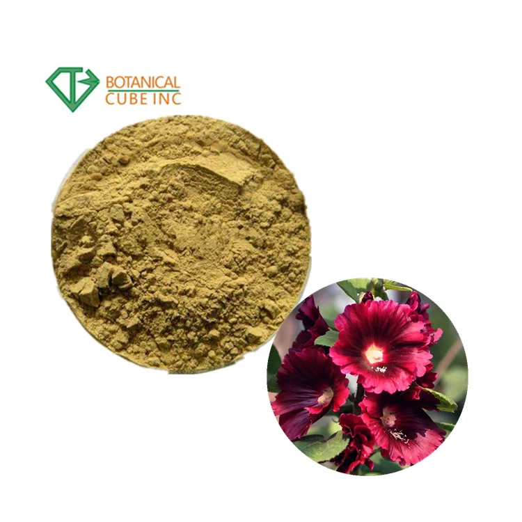 100 天然althaea Rosea リン Cavan Hollyhock Powder Buy タチアオイ粉末 Althaea 粃 リン カバン 100 天然 Product On Alibaba Com