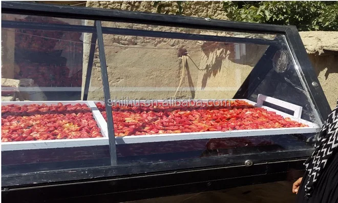 Solar Drier Rice Solar Dryer for Fruits and Vegetables - Efficient Green House ...