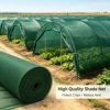 Verde oscuro