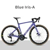 Iris blu-A